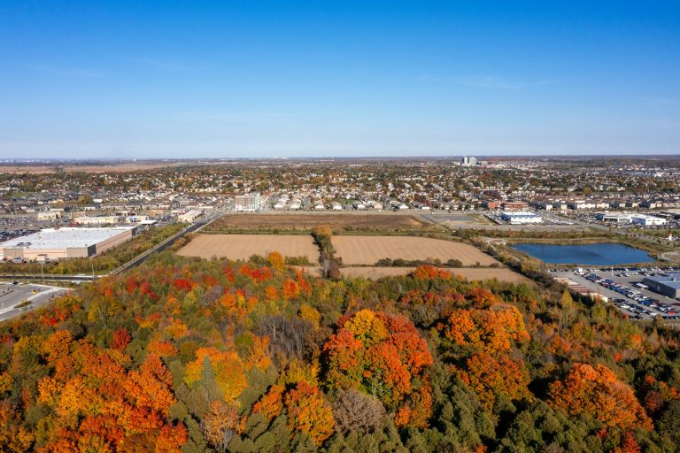 buy land in Europe in 2026 blog post main image overlooking plots of land in europe