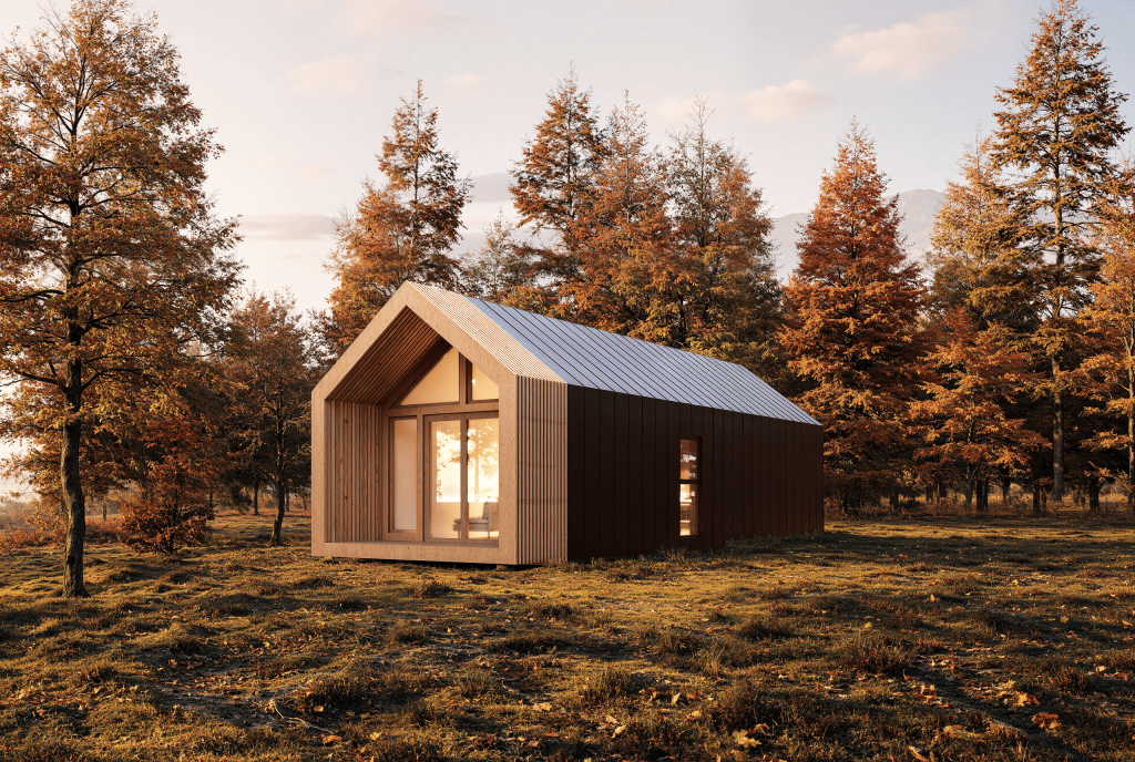 BARN MINI VIEW 3